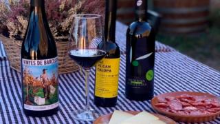 Tast de Collserola Pagesa i vins de Can Calopa