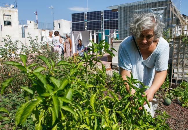 Visita a l’hort del terrat de Ca la Dona