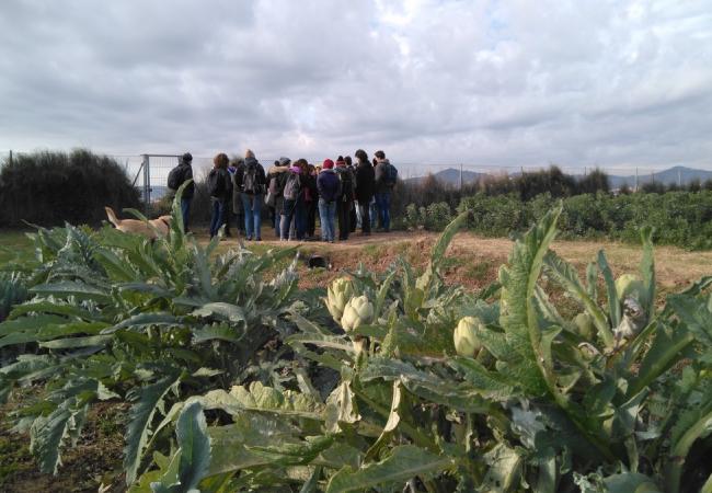  Sistemes alimentaris (eco)feministes