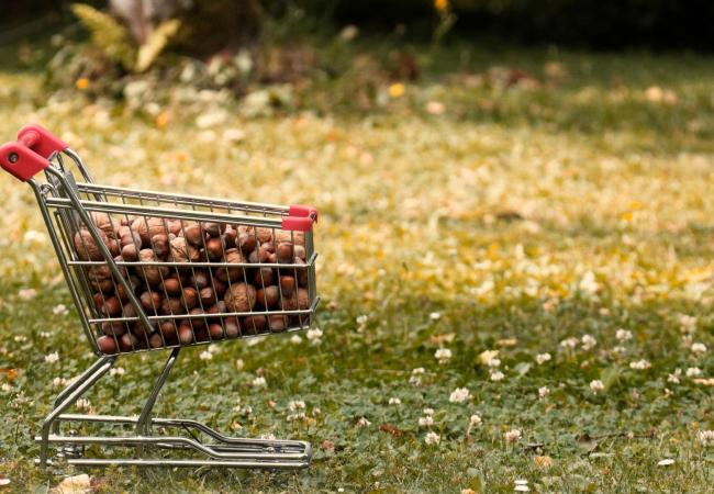 El salt d’escala en la distribució i el consum d’aliments ecològics i de proximitat.