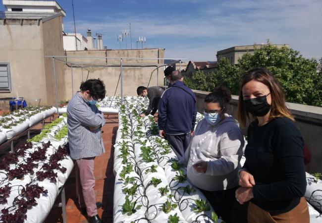 Visita a l’hort del Palau Foronda