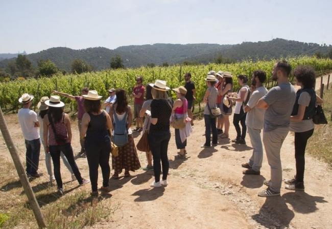Visita a Can Calopa amb tast de vins periurbans