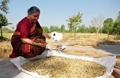 Seeds of Freedom (pel·lícula de Jess Phillimore, 2012)