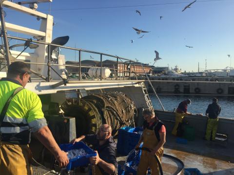 Visita guiada a la Llotja de Mar de Barcelona