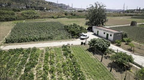 Vestigis i futurs de l’agricultura a Barcelona: la Ponderosa, el Rec Comtal i la Casa de l’Aigua