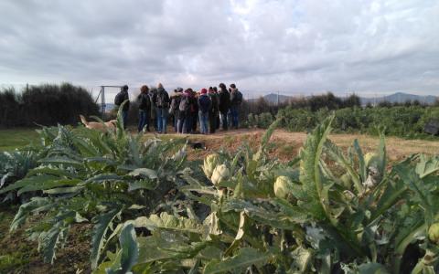  Sistemes alimentaris (eco)feministes