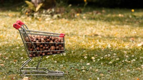 El salt d’escala en la distribució i el consum d’aliments ecològics i de proximitat.