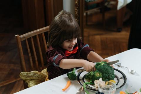 L’alimentació saludable i les emocions en la infància