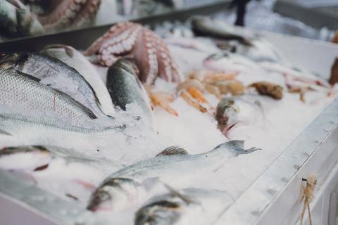 Descobreix l’impacte del teu plat de peix