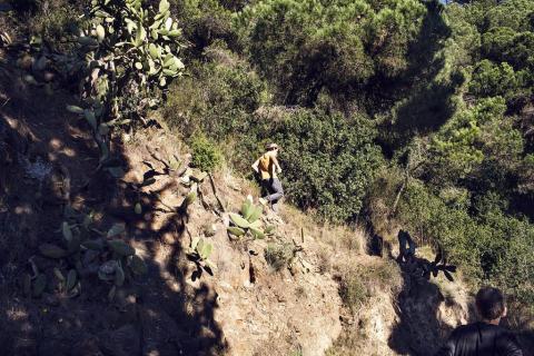 Foto rutes plantes comestibles Collserola